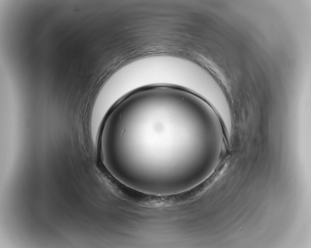 X0000087630065200705101036