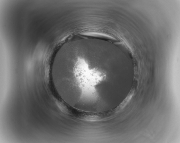 X0000087630066200705101036