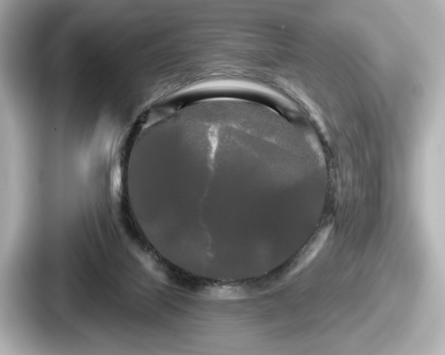 X0000087630067200705101036