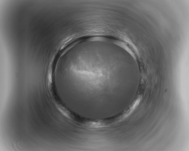 X0000087630068200705101036