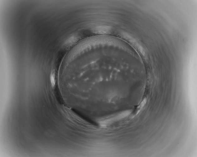 X0000087630069200705101036