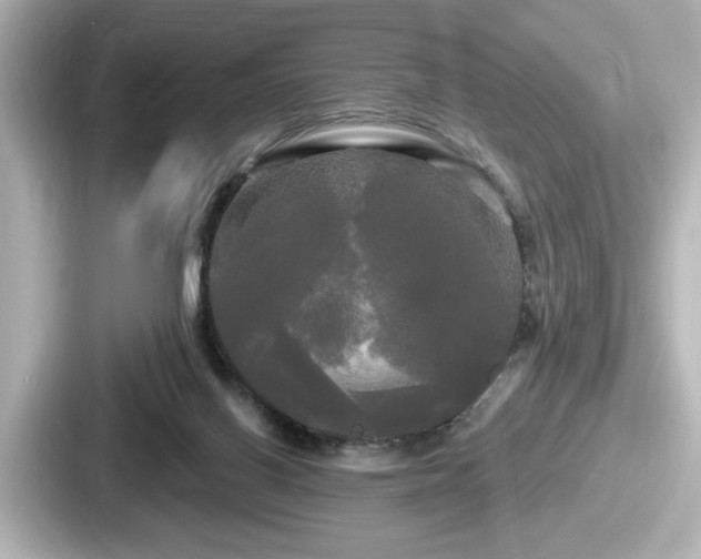 X0000087630070200705101036