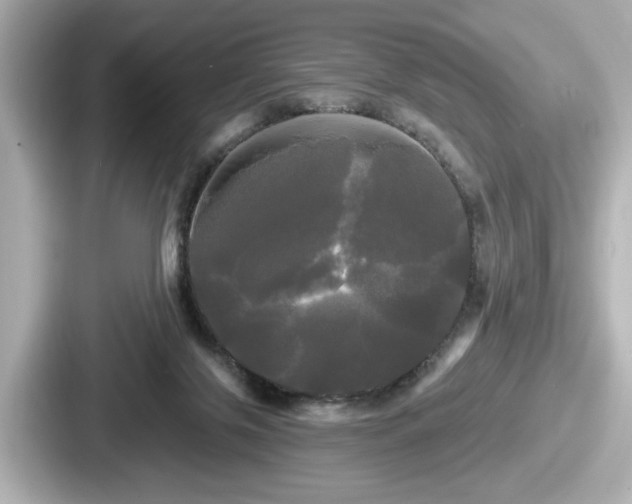 X0000087630071200705101036