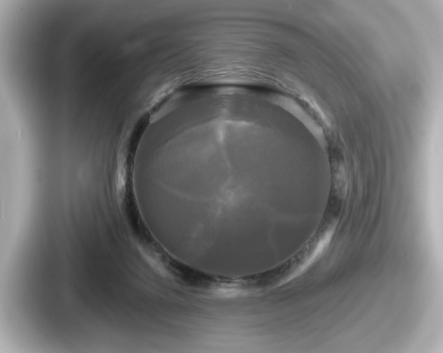 X0000087630072200705101036