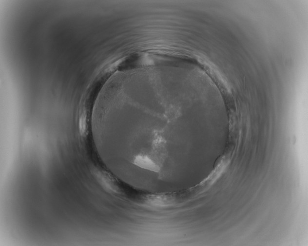 X0000087630074200705101036