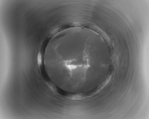 X0000087630075200705101036