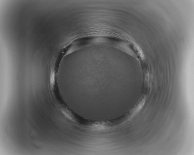 X0000087630076200705101036