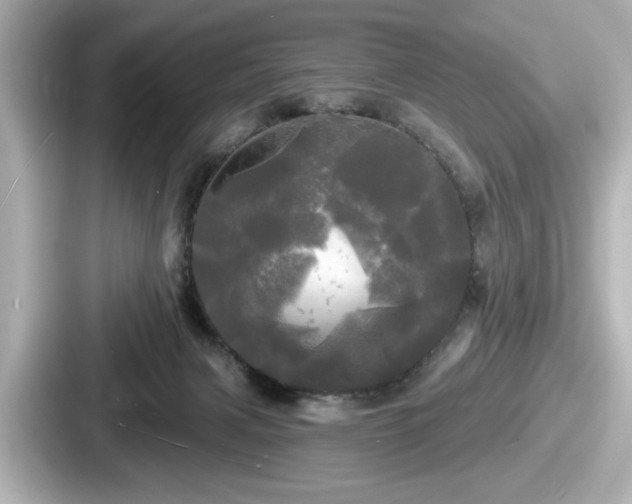 X0000087630079200705101036