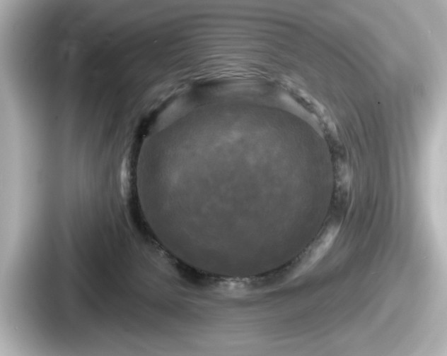 X0000087630080200705101036