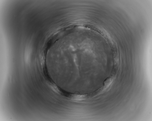 X0000087630081200705101036