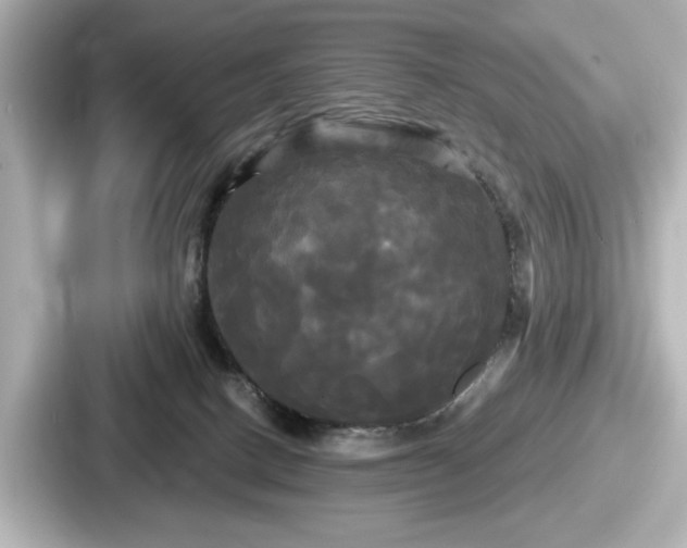 X0000087630082200705101036