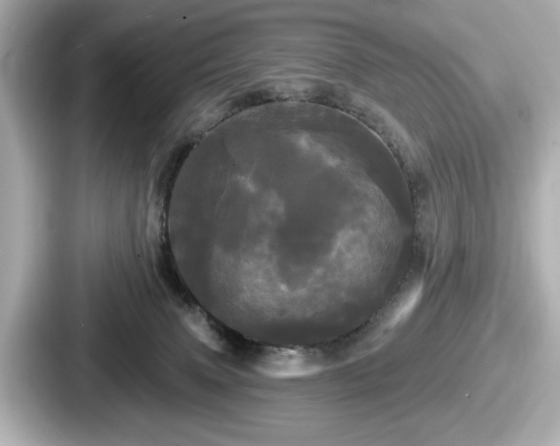 X0000087630083200705101036