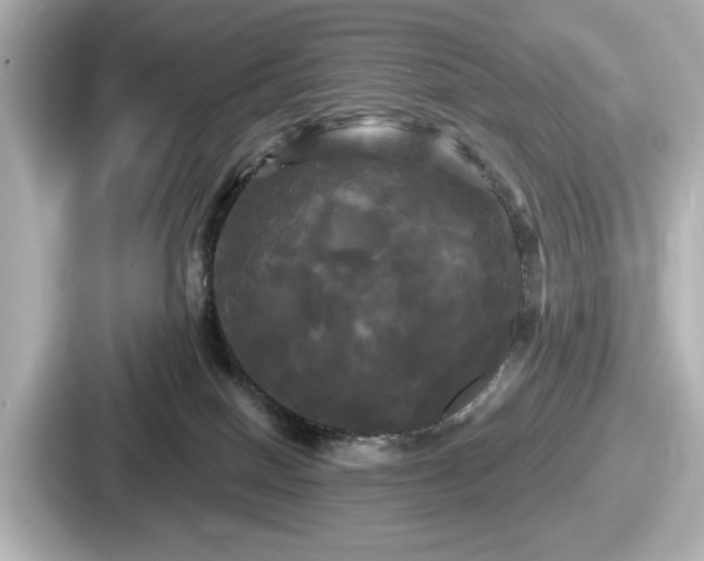 X0000087630086200705101036