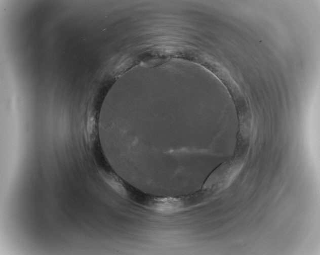 X0000087630087200705101036