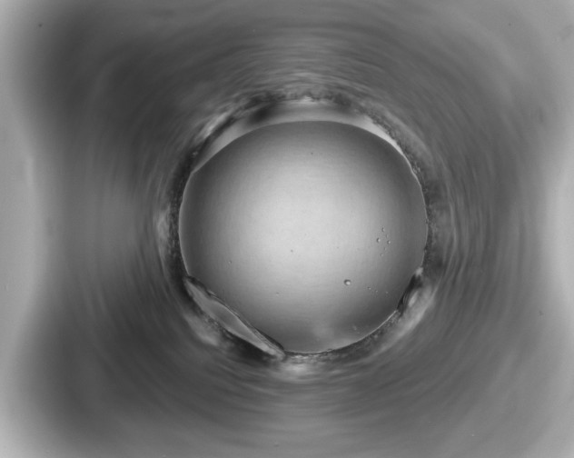 X0000087630088200705101036