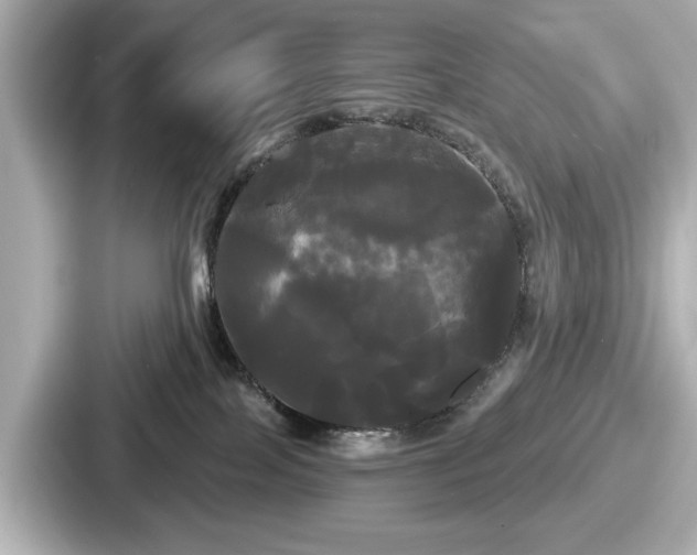 X0000087630089200705101036