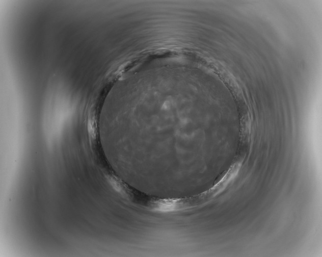 X0000087630090200705101036