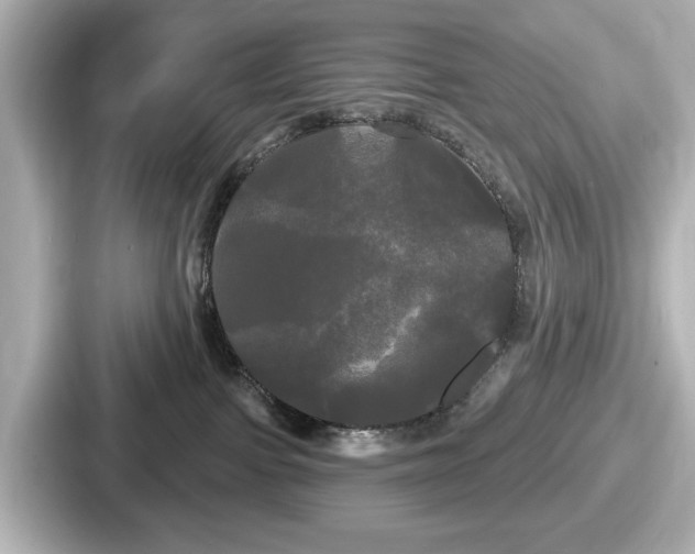 X0000087630091200705101036