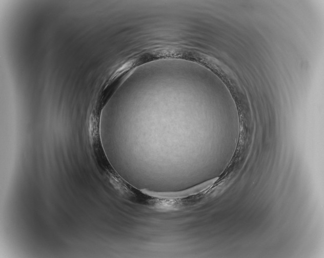 X0000087630096200705101036