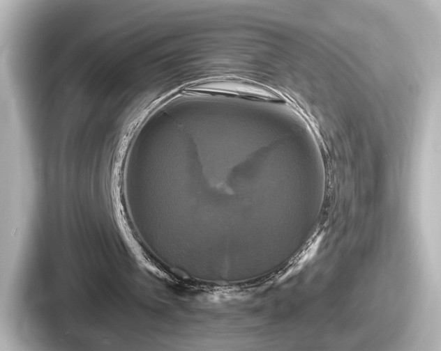 X0000087630097200705101035