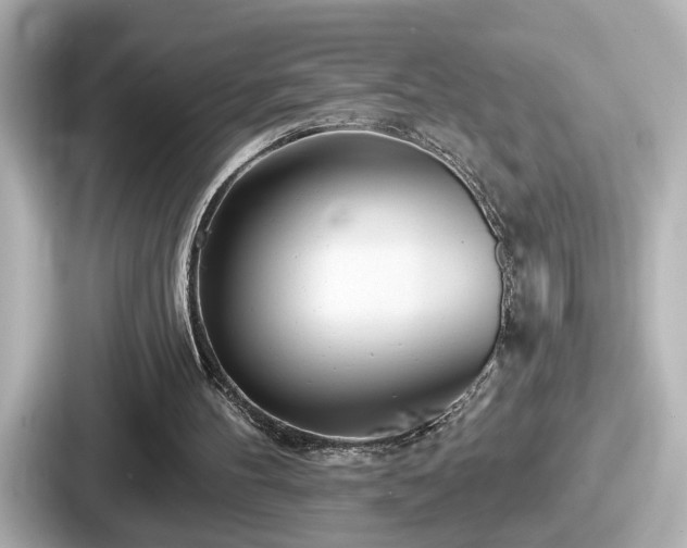 X0000087630100200705101035