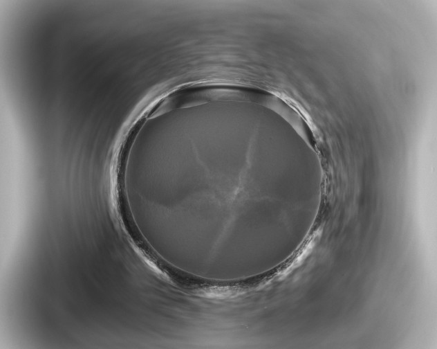 X0000087630101200705101035