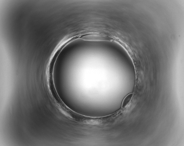 X0000087630102200705101035