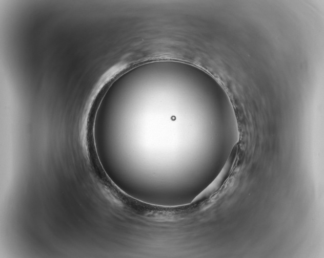 X0000087630104200705101035