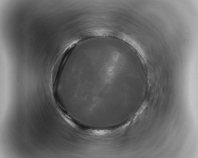 X0000087630105200705101035