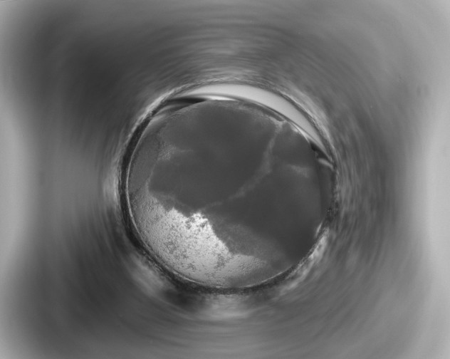 X0000087630107200705101035