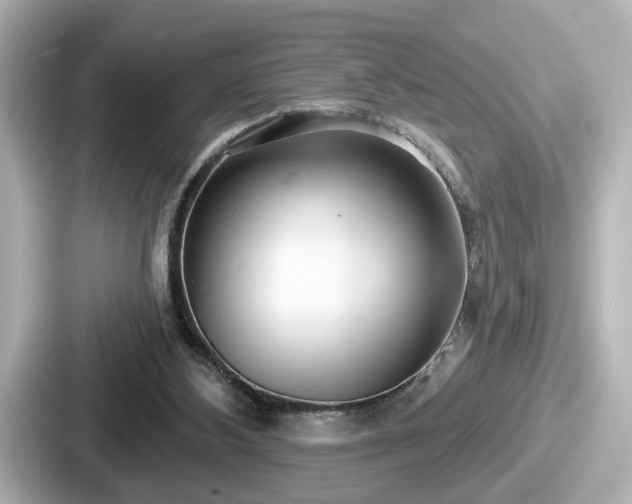 X0000087630108200705101035