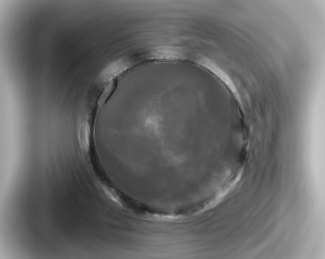 X0000087630109200705101035