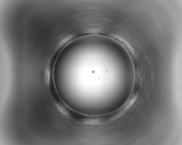 X0000087630110200705101035