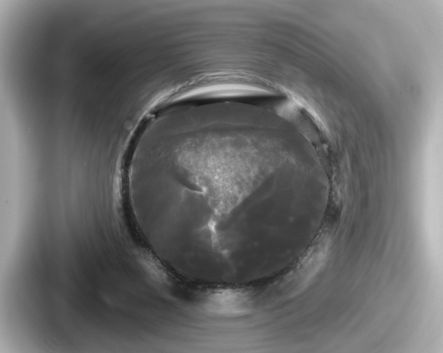 X0000087630111200705101035