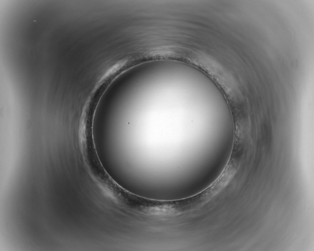 X0000087630112200705101035