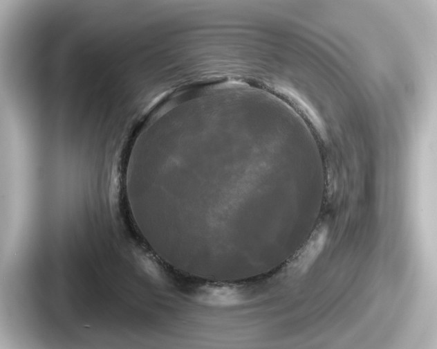 X0000087630113200705101035