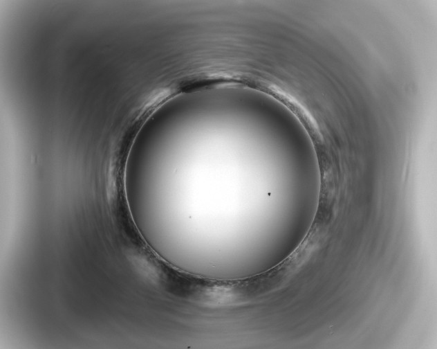 X0000087630114200705101035