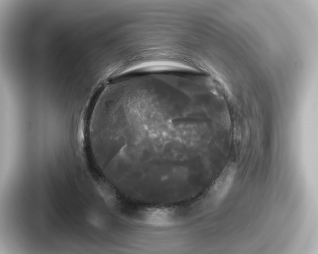 X0000087630115200705101035