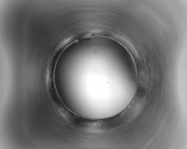 X0000087630116200705101035