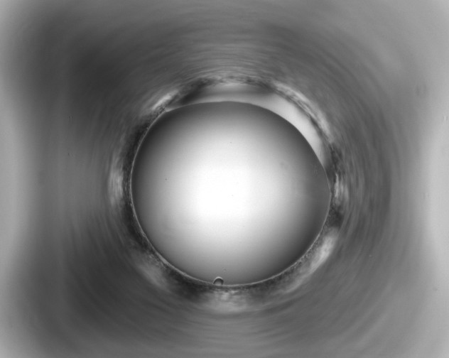 X0000087630117200705101035