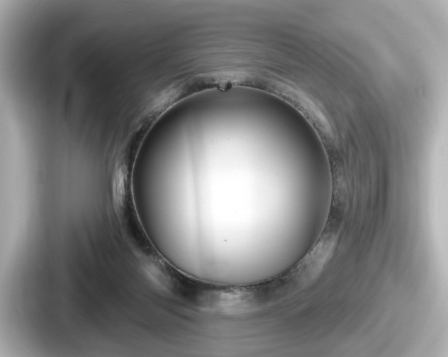 X0000087630118200705101035