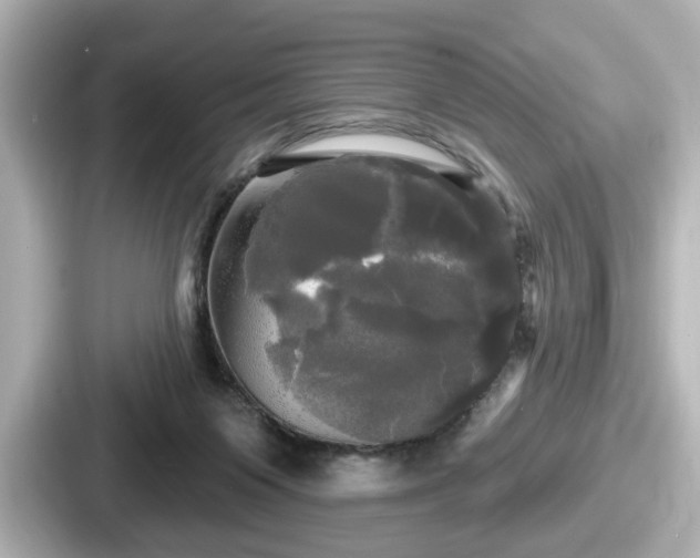 X0000087630119200705101035