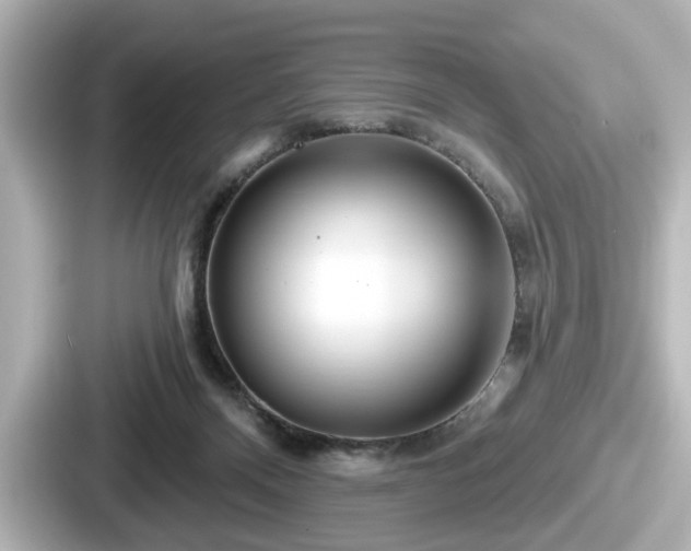 X0000087630120200705101035