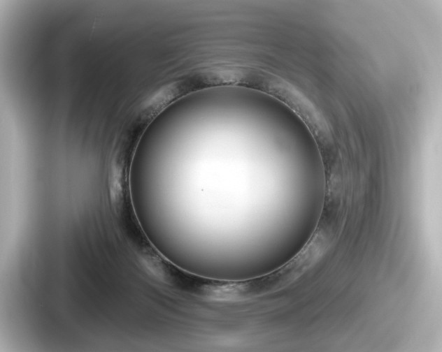 X0000087630122200705101035