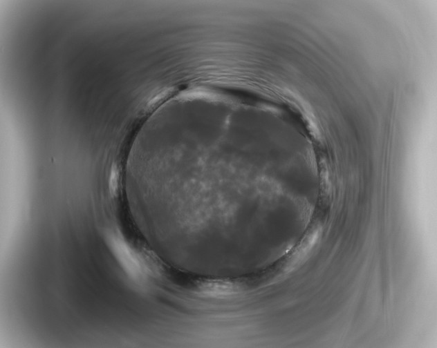 X0000087630123200705101035