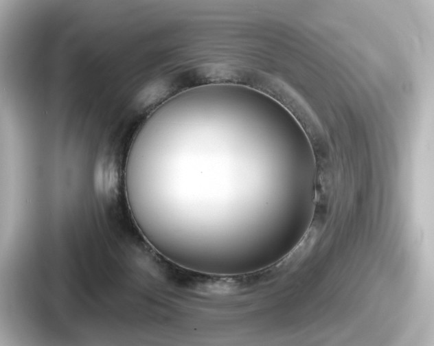 X0000087630124200705101035