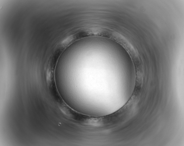 X0000087630126200705101035