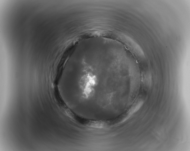 X0000087630127200705101035