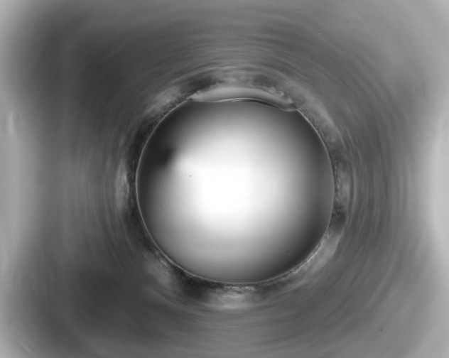 X0000087630128200705101035