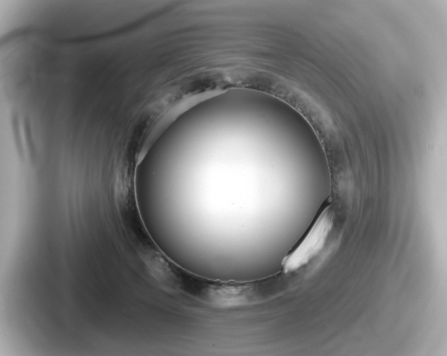 X0000087630129200705101035